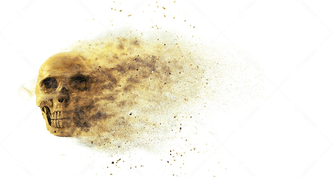 Crânio caveira sobre fundo isolado