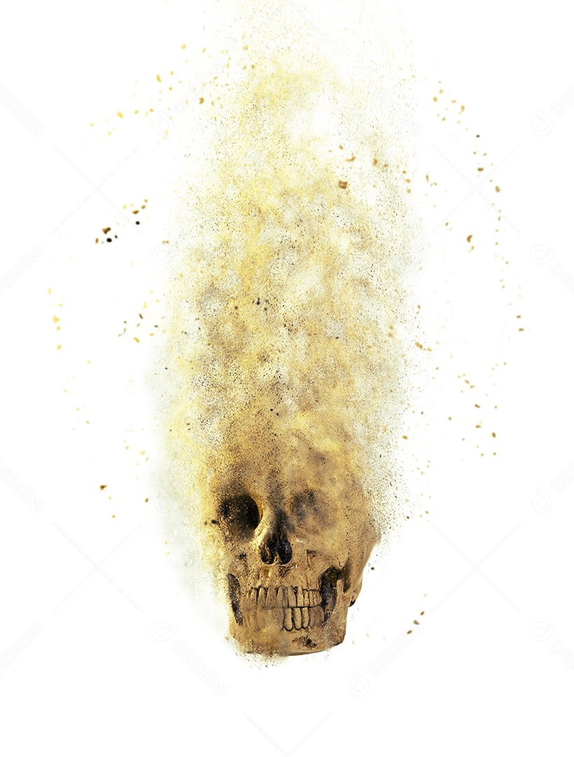 Crânio caveira sobre fundo isolado