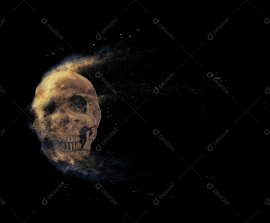 Crânio caveira sobre fundo isolado