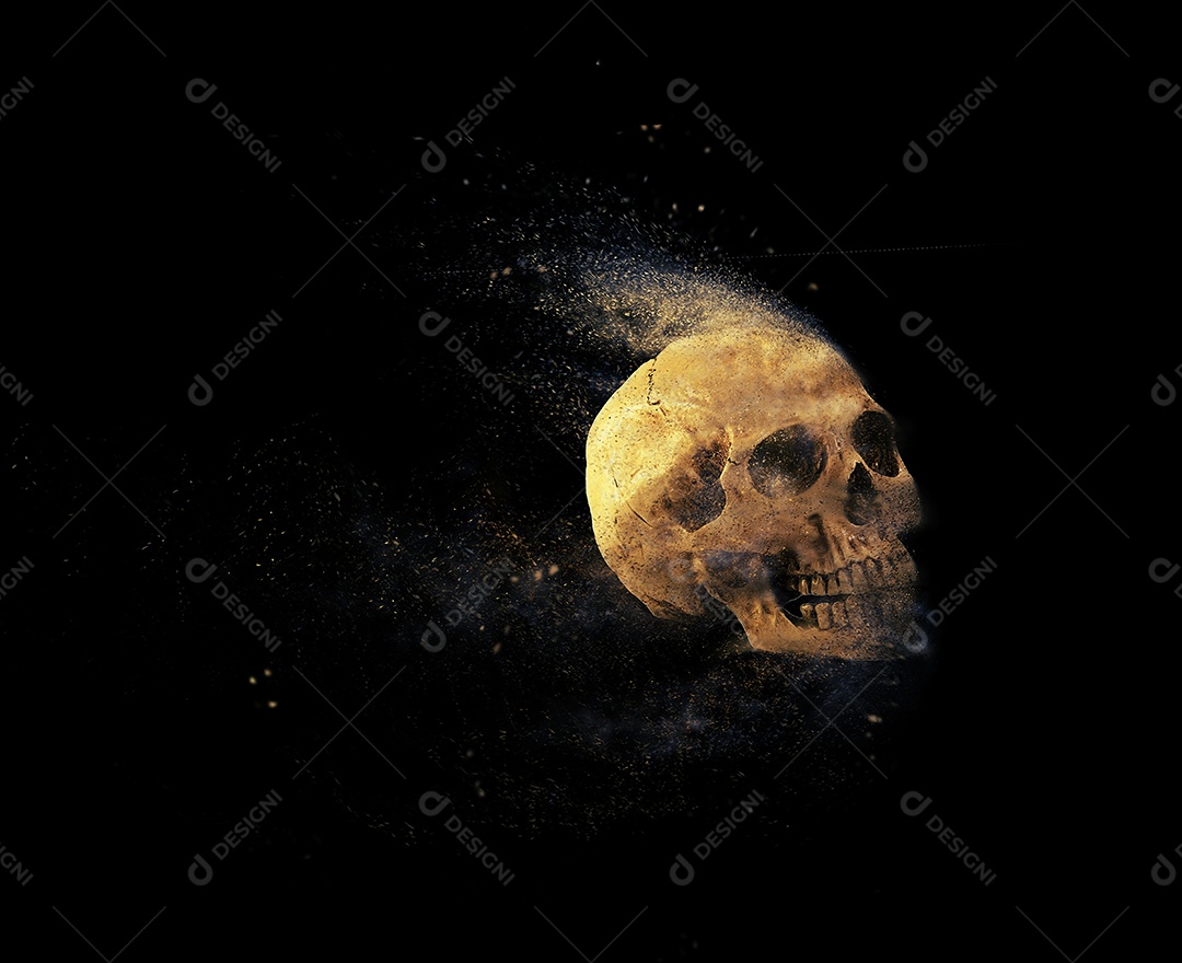 Crânio caveira sobre fundo isolado