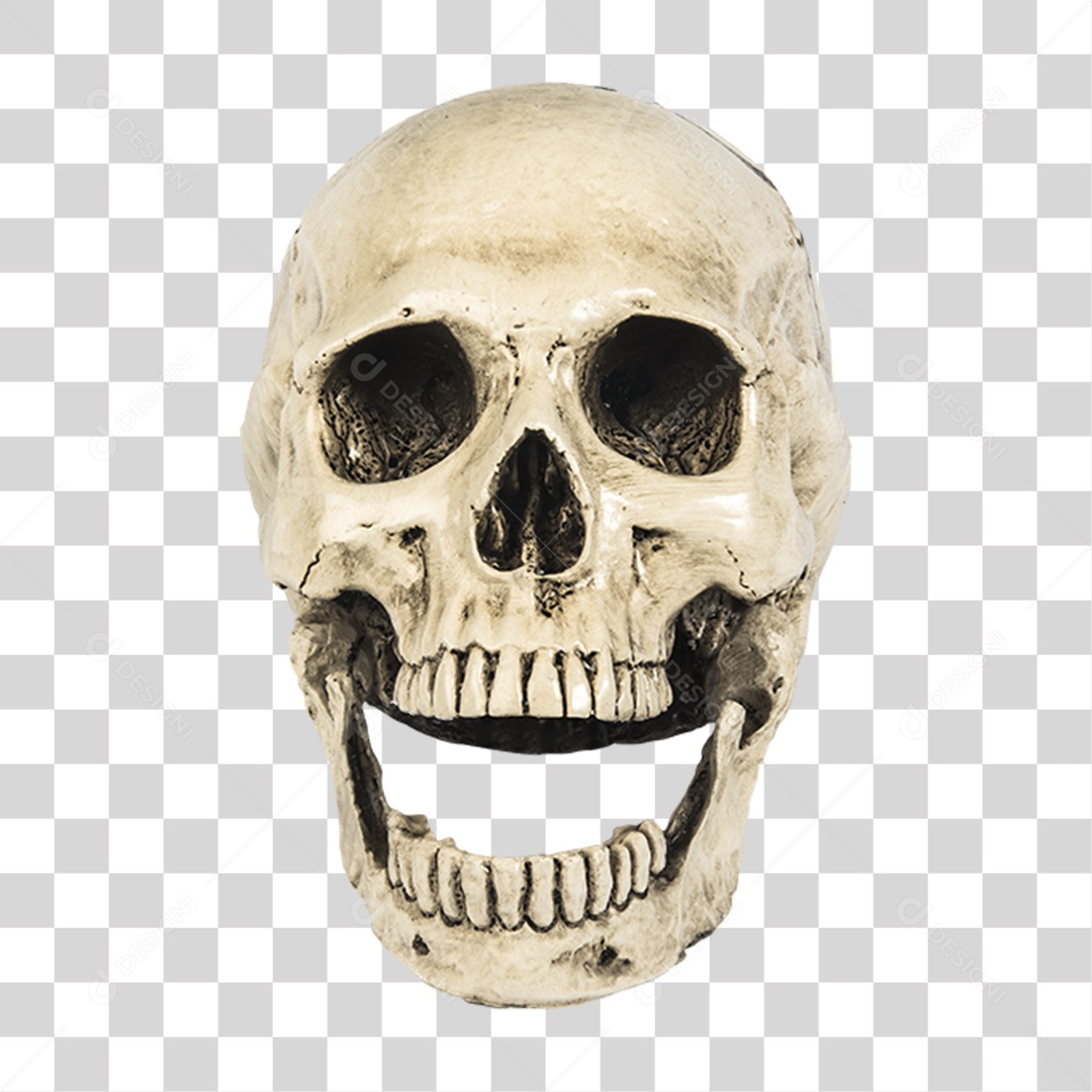 Objeto 3D Crânio Para Composição PNG Transparente