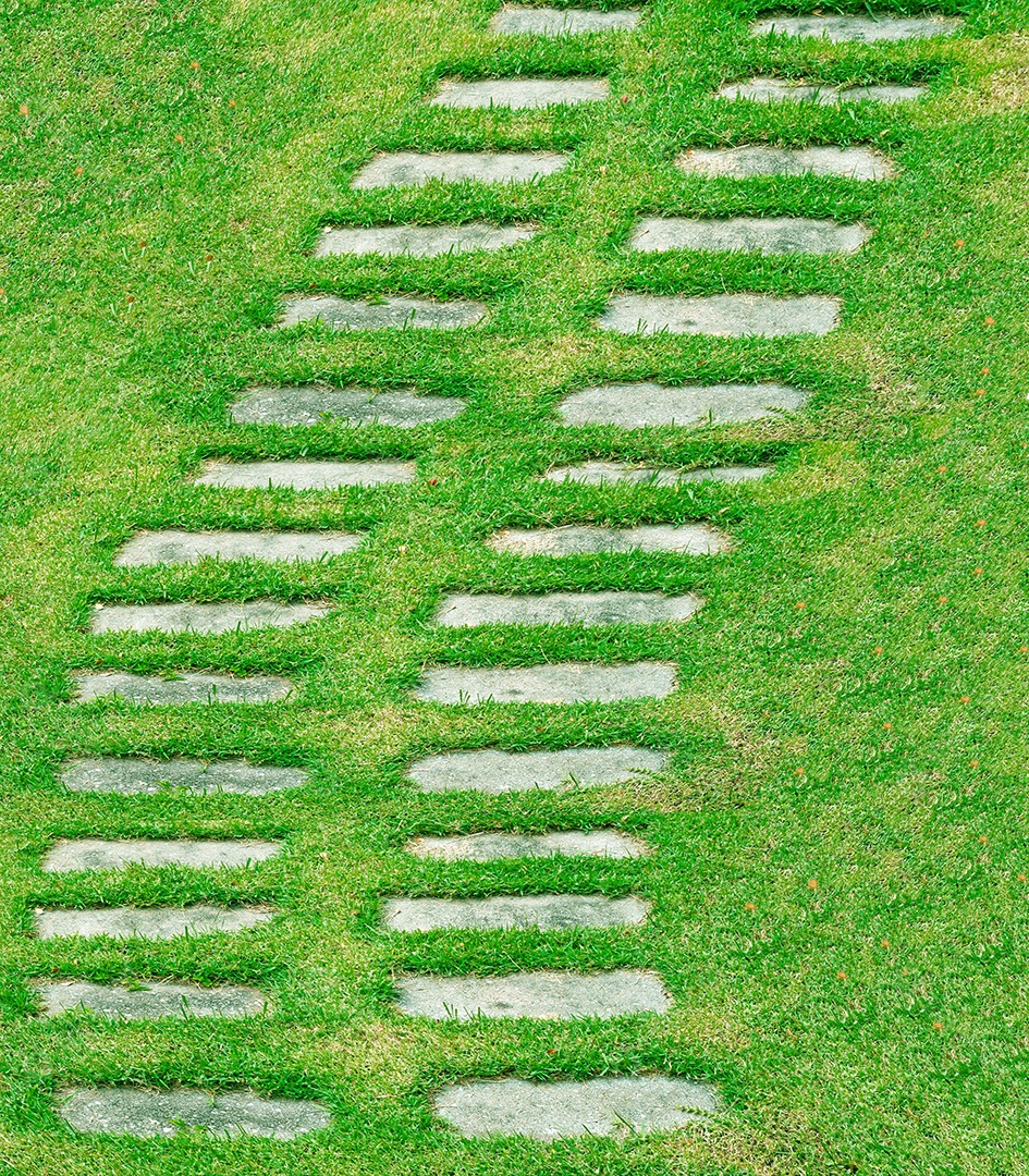 Grama verde e passarela de pedra no parque
