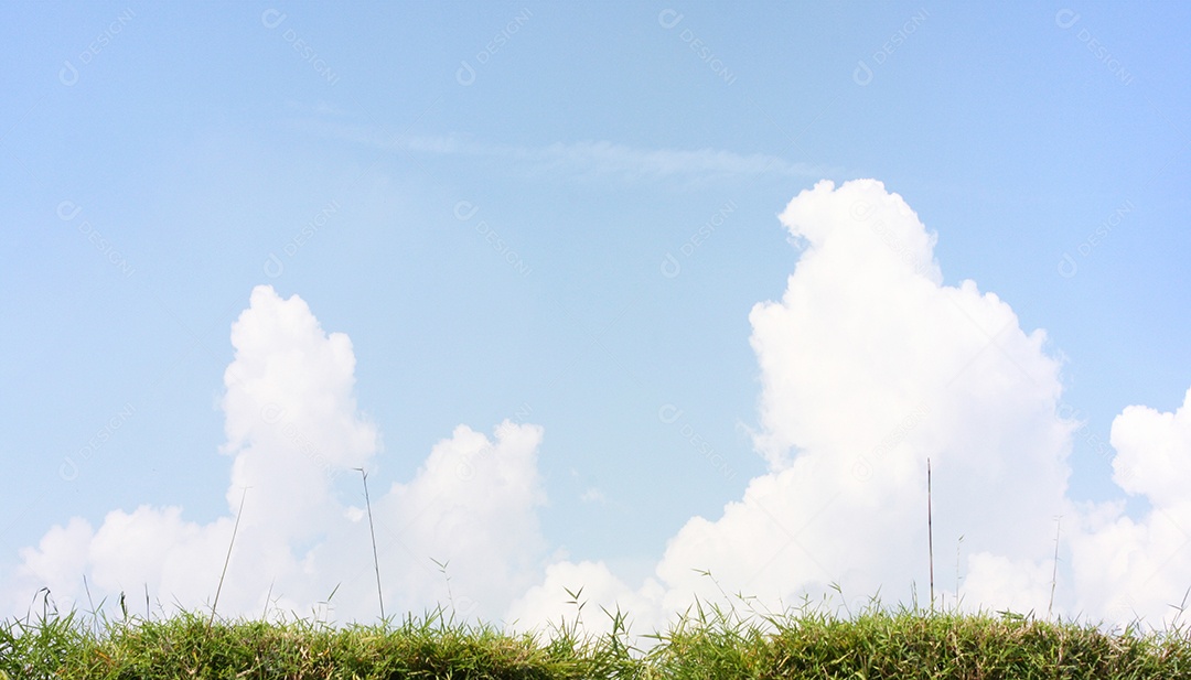 Céu azul com nuvens e folhas de bambu
