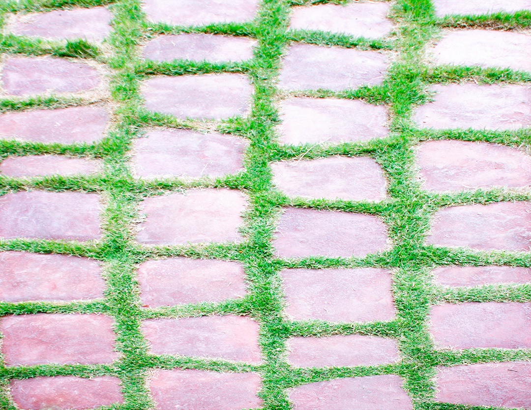 Passagem de pedra na grama verde no jardim