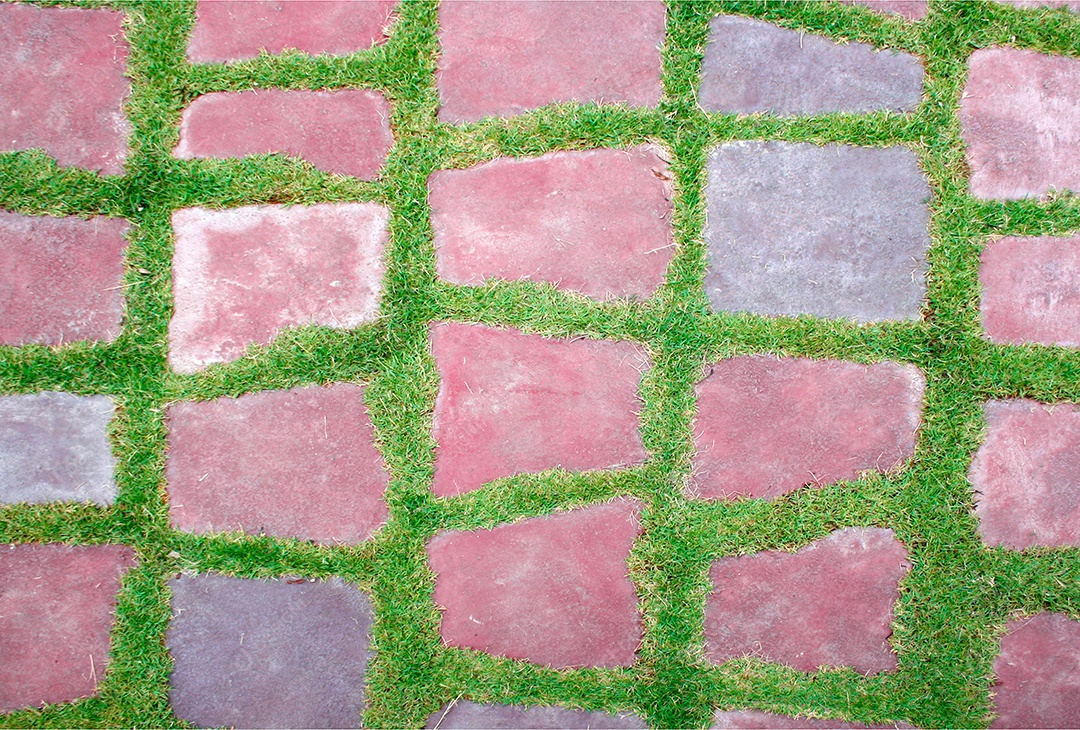 Passagem de pedra na grama verde no jardim