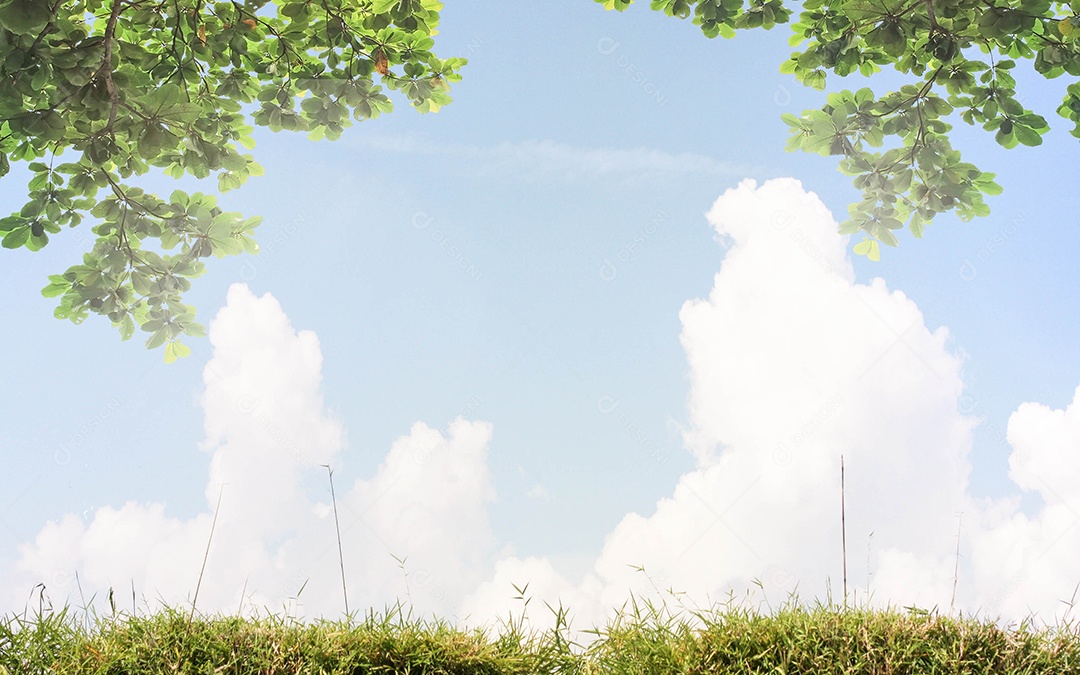 Céu azul com nuvens e folhas de bambu com folha verde