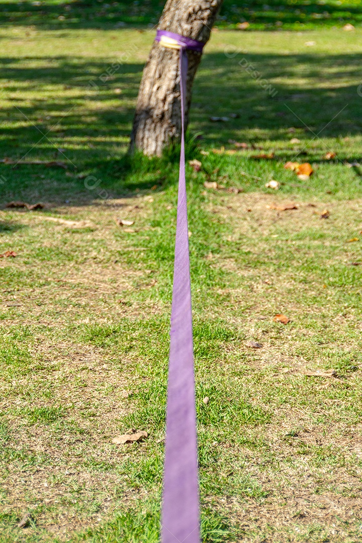 slackline roxo preso em uma árvore em um parque no Rio de Janeiro no Brasil.