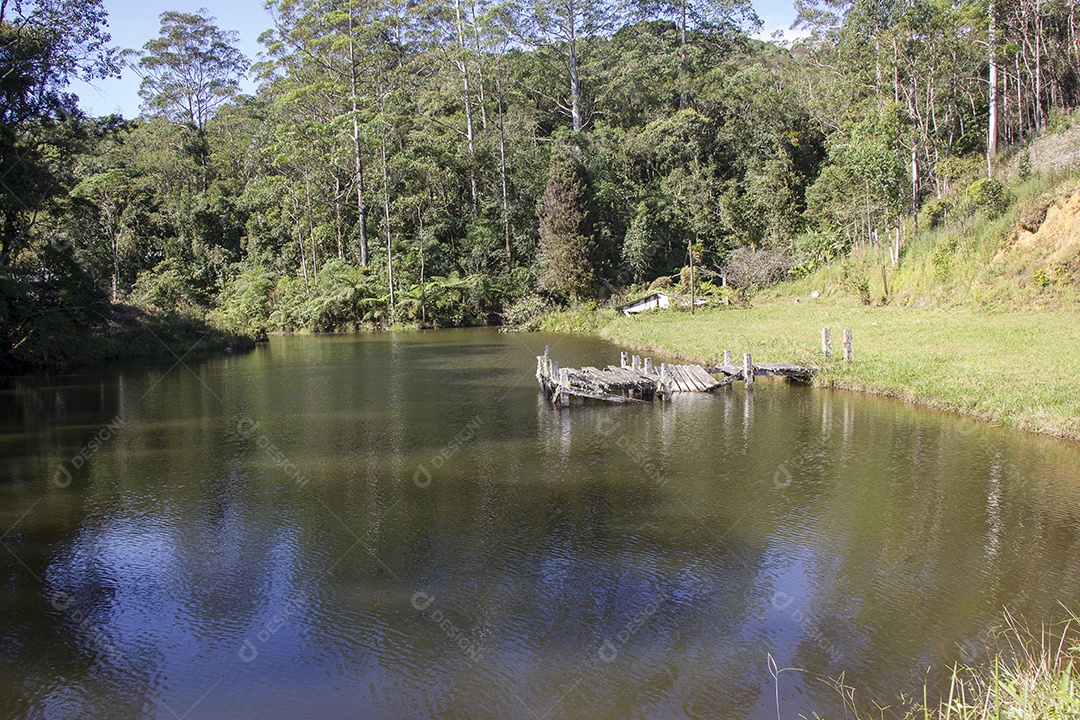 vista da trilha da serra da Bocaina