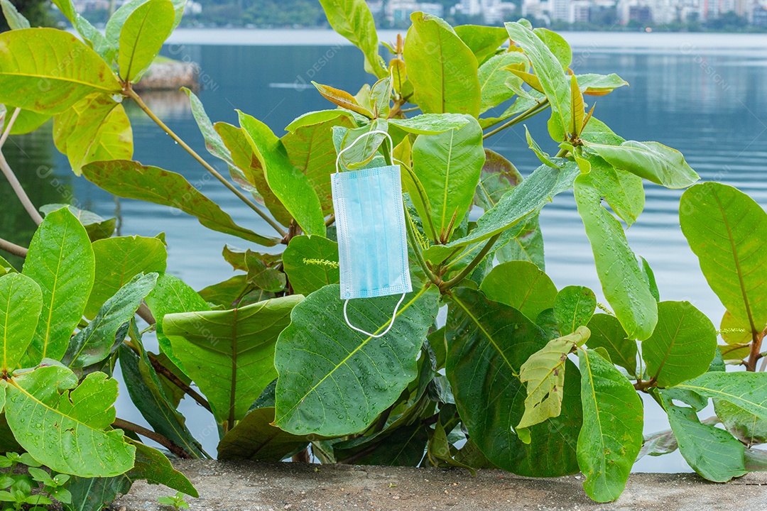 máscara de proteção descartável azul, usada para proteção contra o cornavírus, jogada em uma amendoeira no Rio de Janeiro..