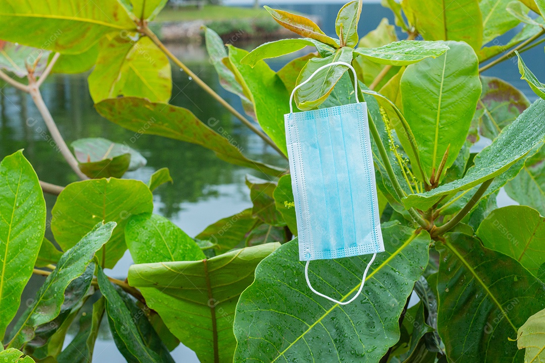 máscara de proteção descartável azul, usada para proteção contra o cornavírus, jogada em uma amendoeira no Rio de Janeiro..