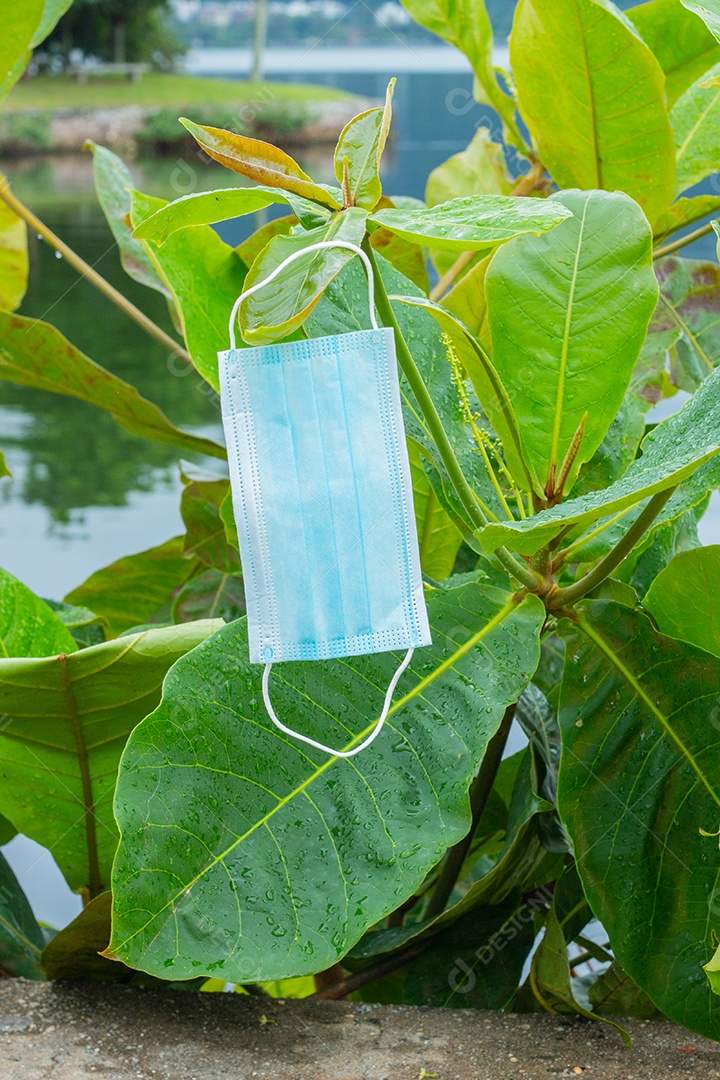 máscara de proteção descartável azul, usada para proteção contra o cornavírus, jogada em uma amendoeira no Rio de Janeiro..