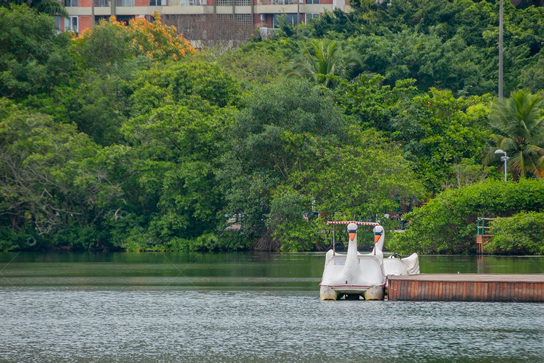 pedalinho na lagoa Rodrigo de Freitas no rio de janeiro Brasil.