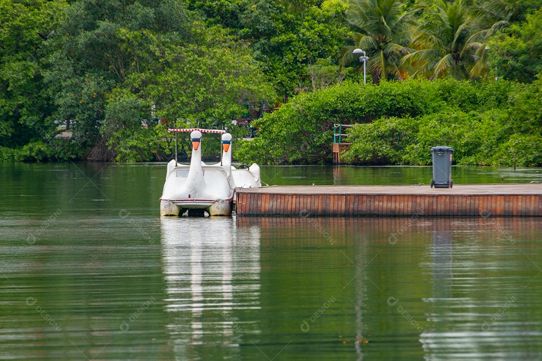 pedalinho na lagoa Rodrigo de Freitas no rio de janeiro Brasil.