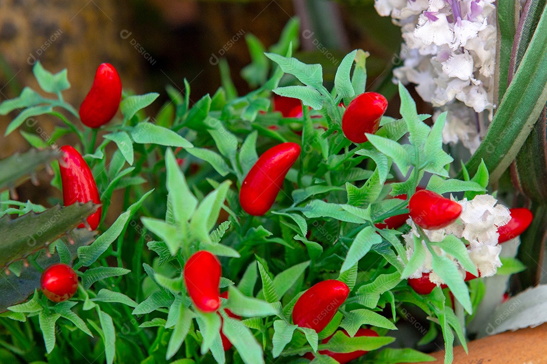 pimenta vermelha com folhas verdes de plástico usadas para decoração no Rio de Janeiro Brasil.