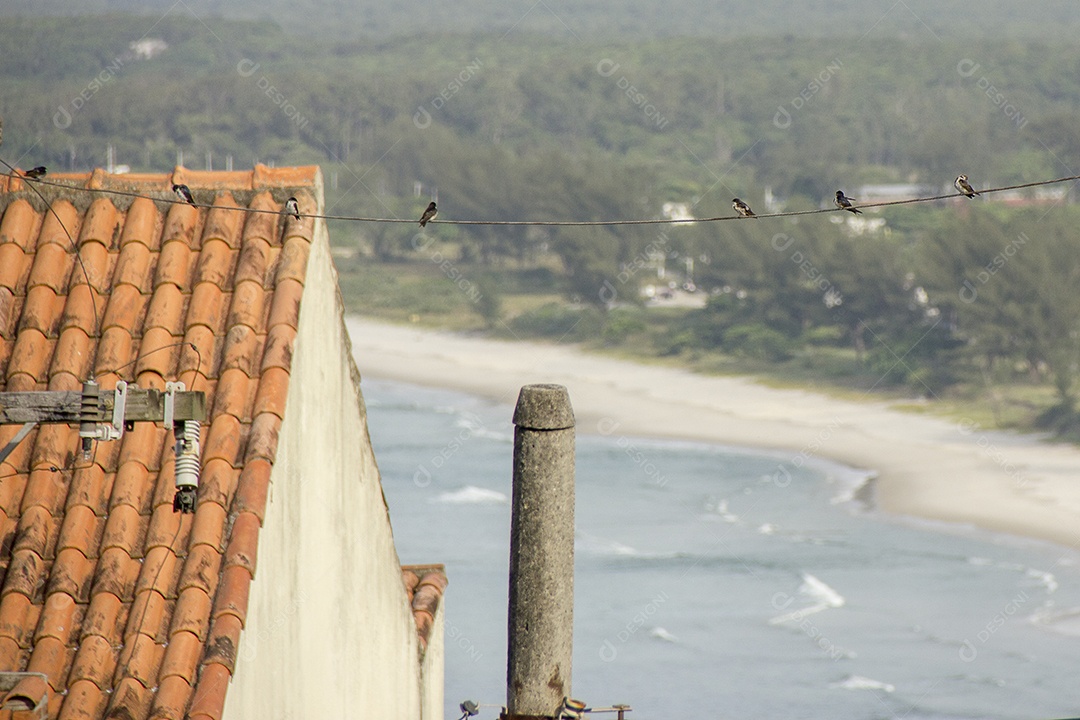 vista da praia de areia Marambaia ( restinga de marambaia ) em Guaratiba no Rio de Janeiro Brasil .