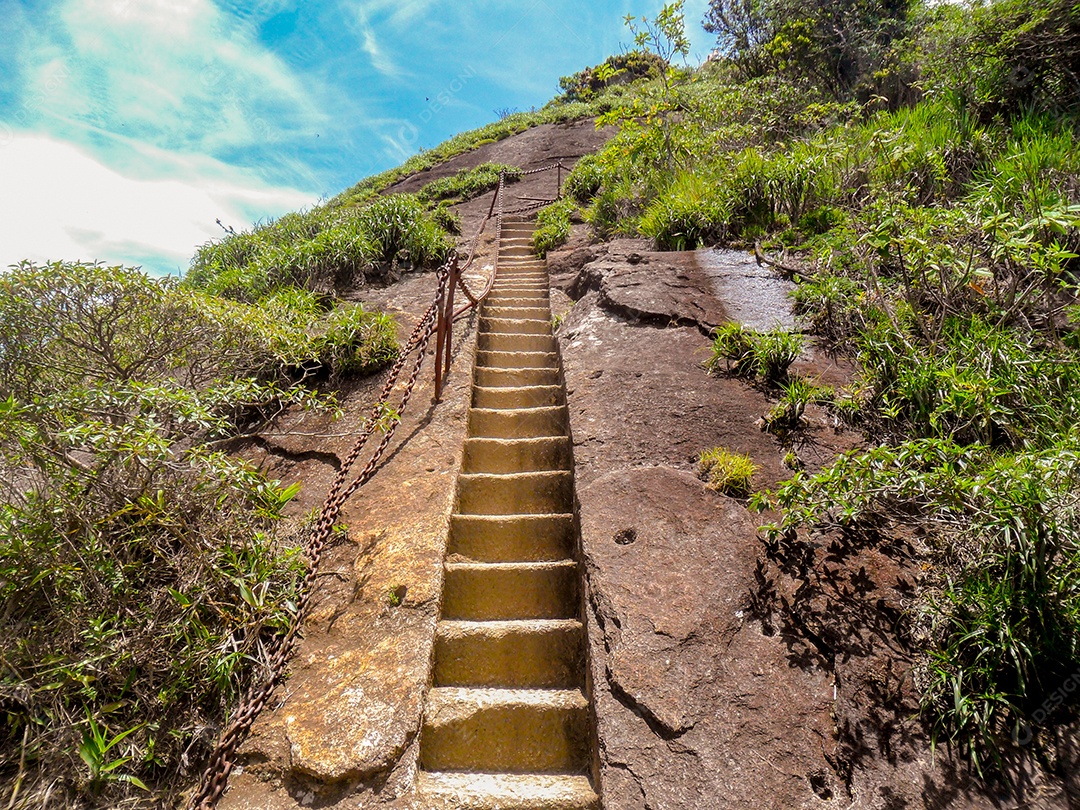 escada de acesso ao pico da Tijuca (Pico da Tijuca) no Parque Nacional da Tijuca no Rio de Janeiro Brasil.