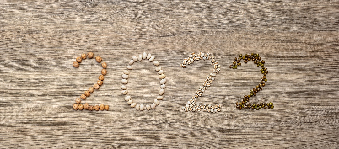 2022 Ano Novo e Novo Você com Feijão Orgânico; branco, verde, chique.