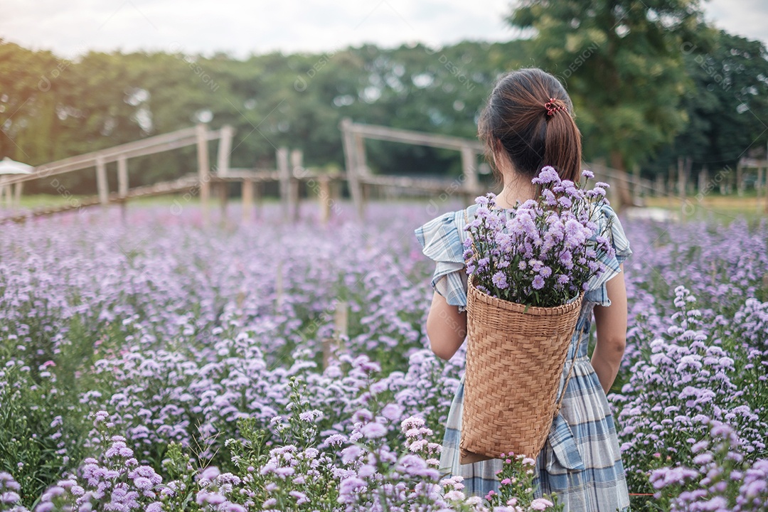 Feliz turista de vestido azul desfruta de Margaridas roxas.