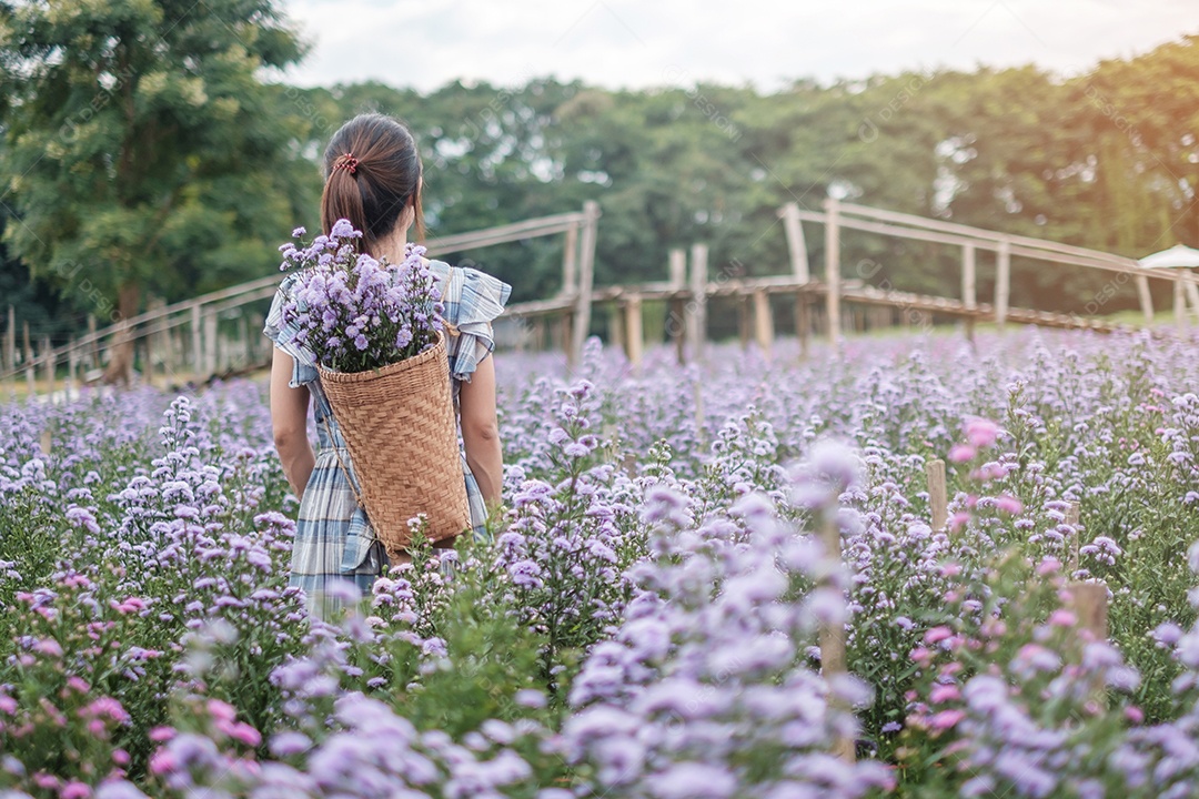 Feliz turista de vestido azul desfruta de Margaret roxa.