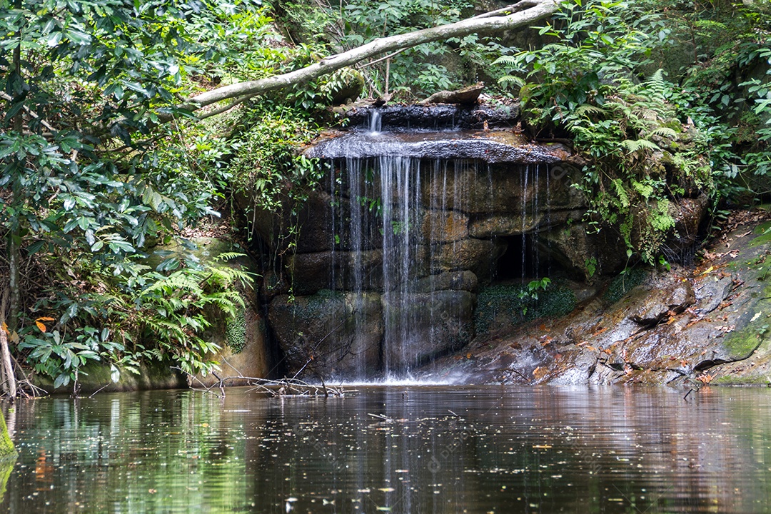 pequena cachoeira no parque lage no Rio de Janeiro Brasil.