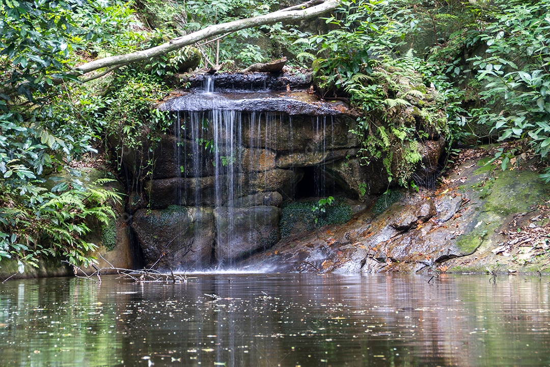 pequena cachoeira no parque lage no Rio de Janeiro Brasil.