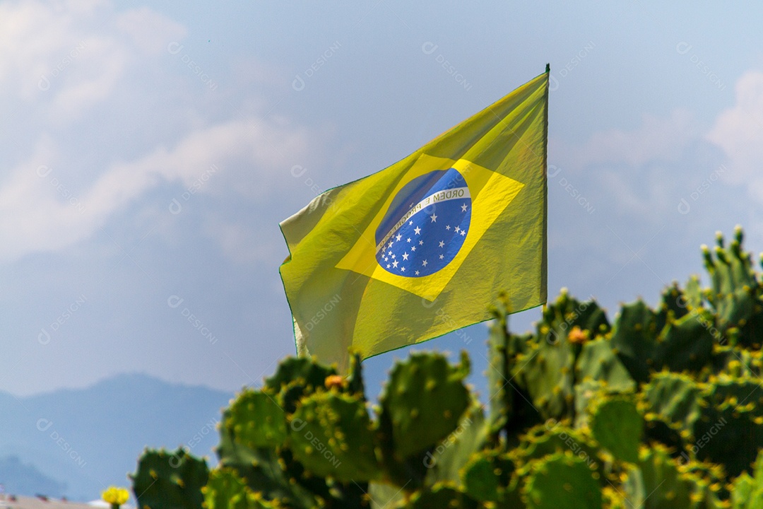 Bandeira do Brasil ao ar livre no Rio de Janeiro.