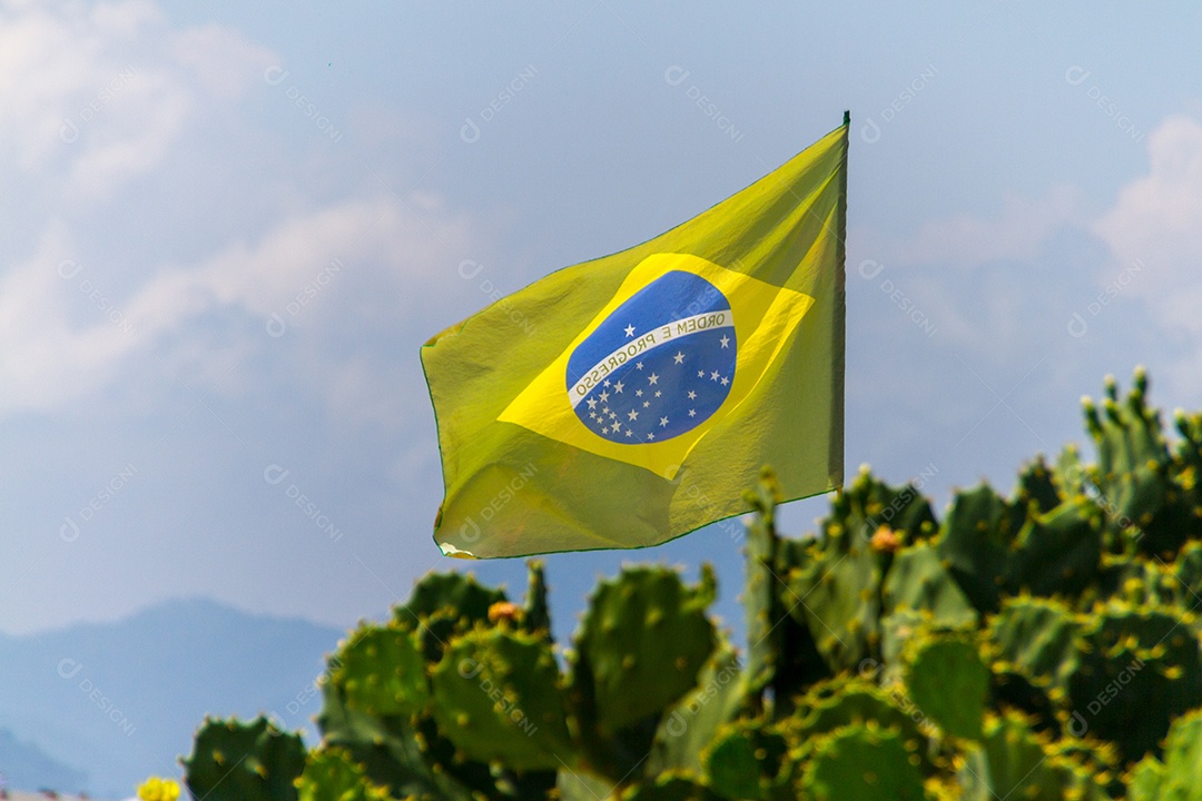 Bandeira do Brasil ao ar livre no Rio de Janeiro.