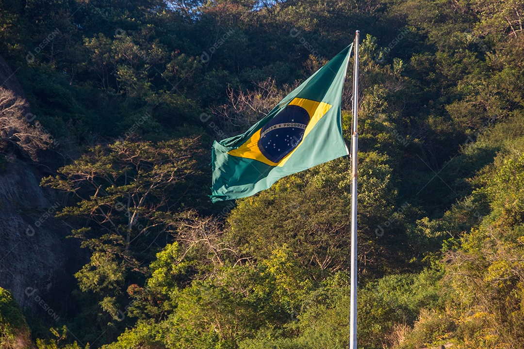 Bandeira do Brasil árvores ao ar livre em segundo plano no Rio de Janeiro Brasil.