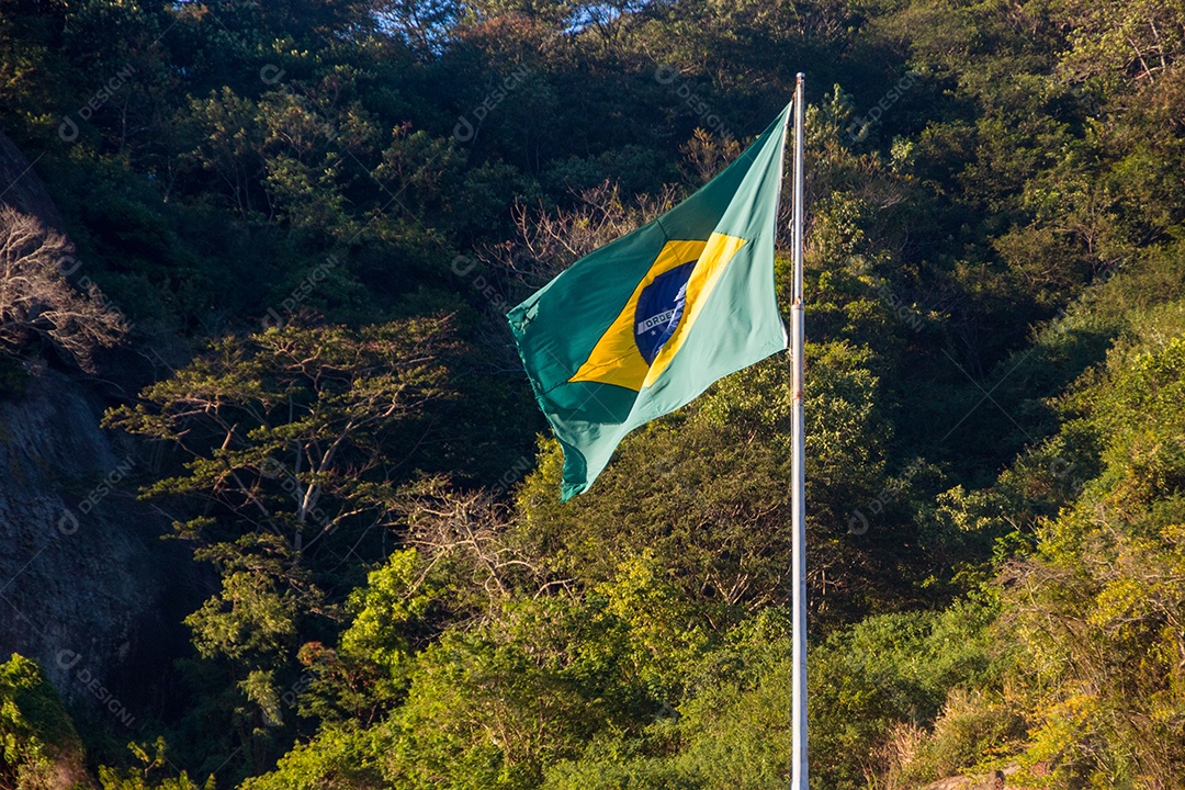 Bandeira do Brasil árvores ao ar livre em segundo plano no Rio de Janeiro Brasil.