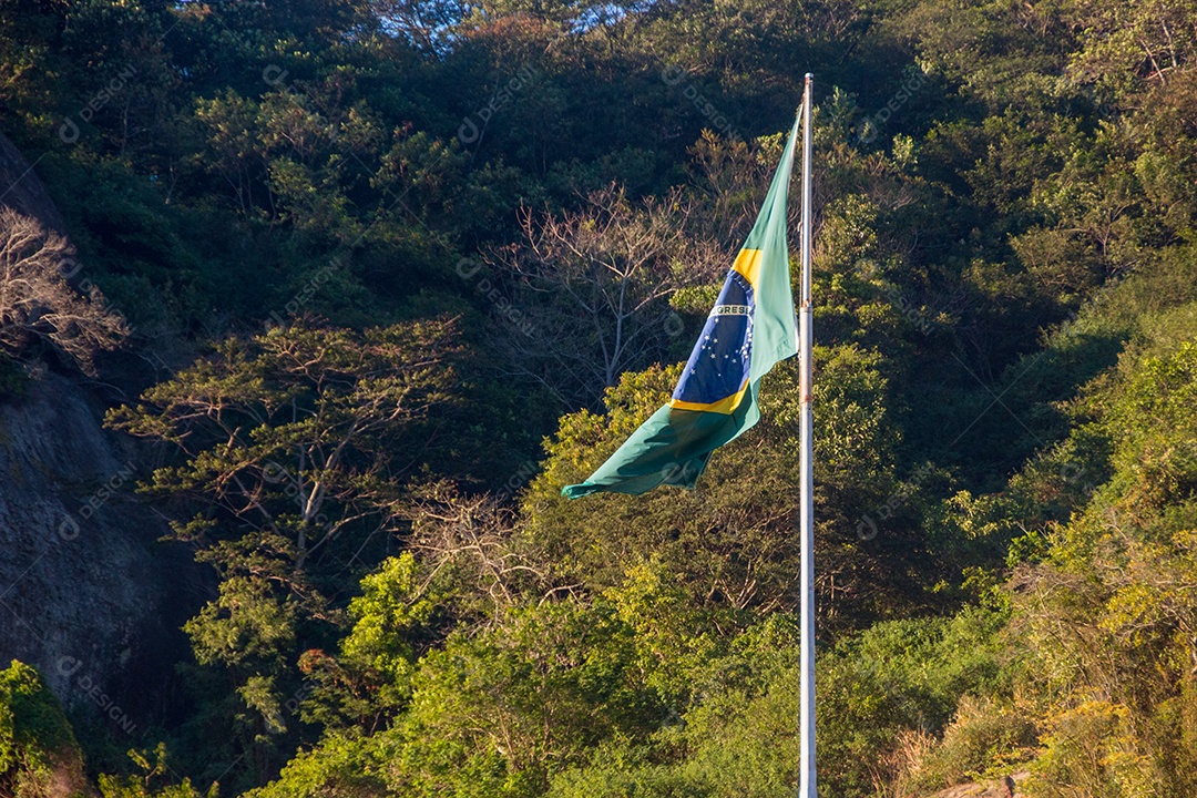 Bandeira do Brasil árvores ao ar livre em segundo plano no Rio de Janeiro Brasil.