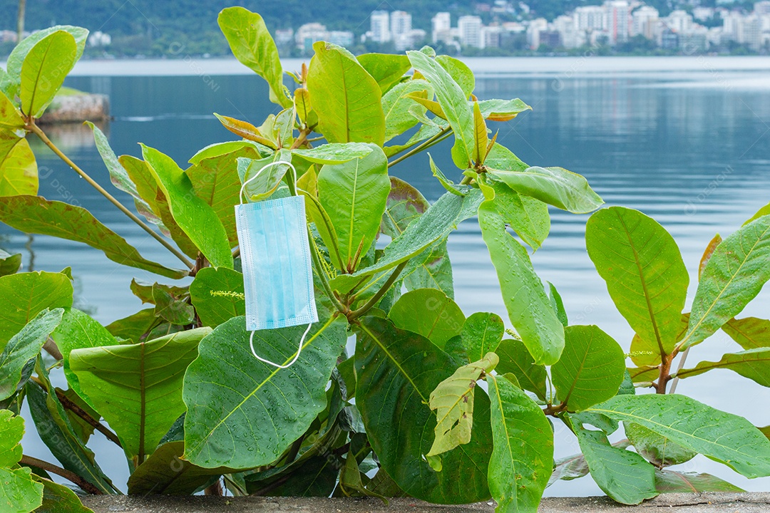 máscara de proteção descartável azul, usada para proteção contra o cornavírus, jogada em uma amendoeira no Rio de Janeiro..c
