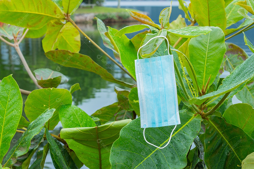 máscara de proteção descartável azul, usada para proteção contra o cornavírus, jogada em uma amendoeira no Rio de Janeiro..