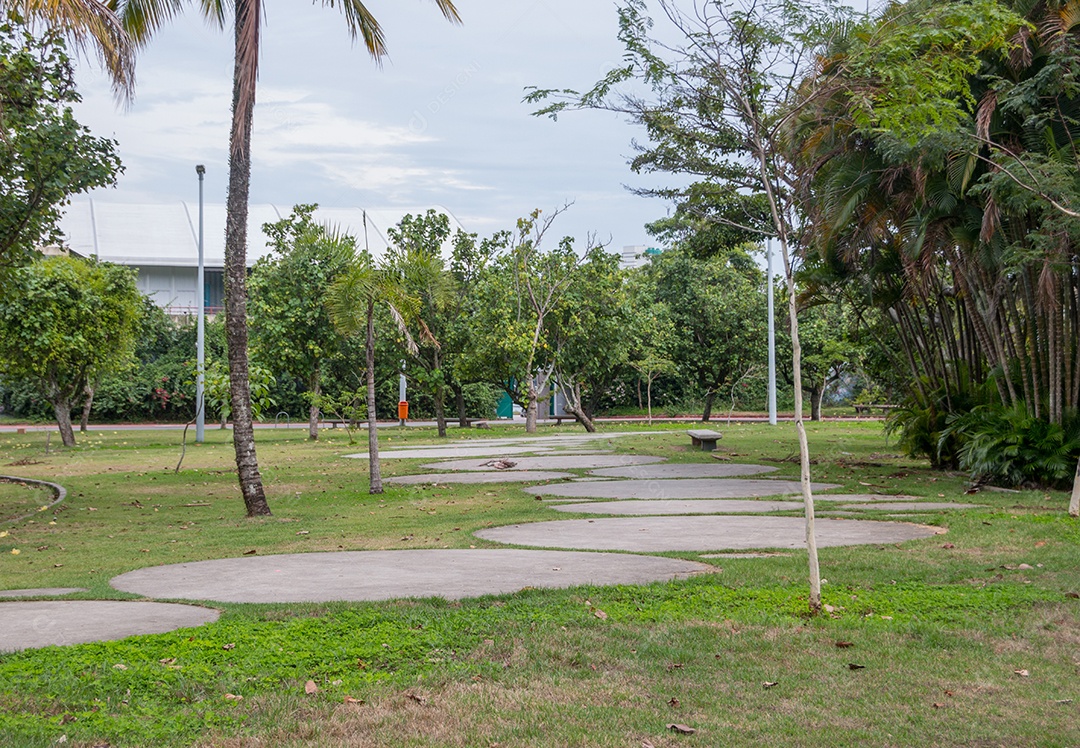 parque das figueiras na lagoa rodrigo de freitas no Rio de Janeiro Brasil.