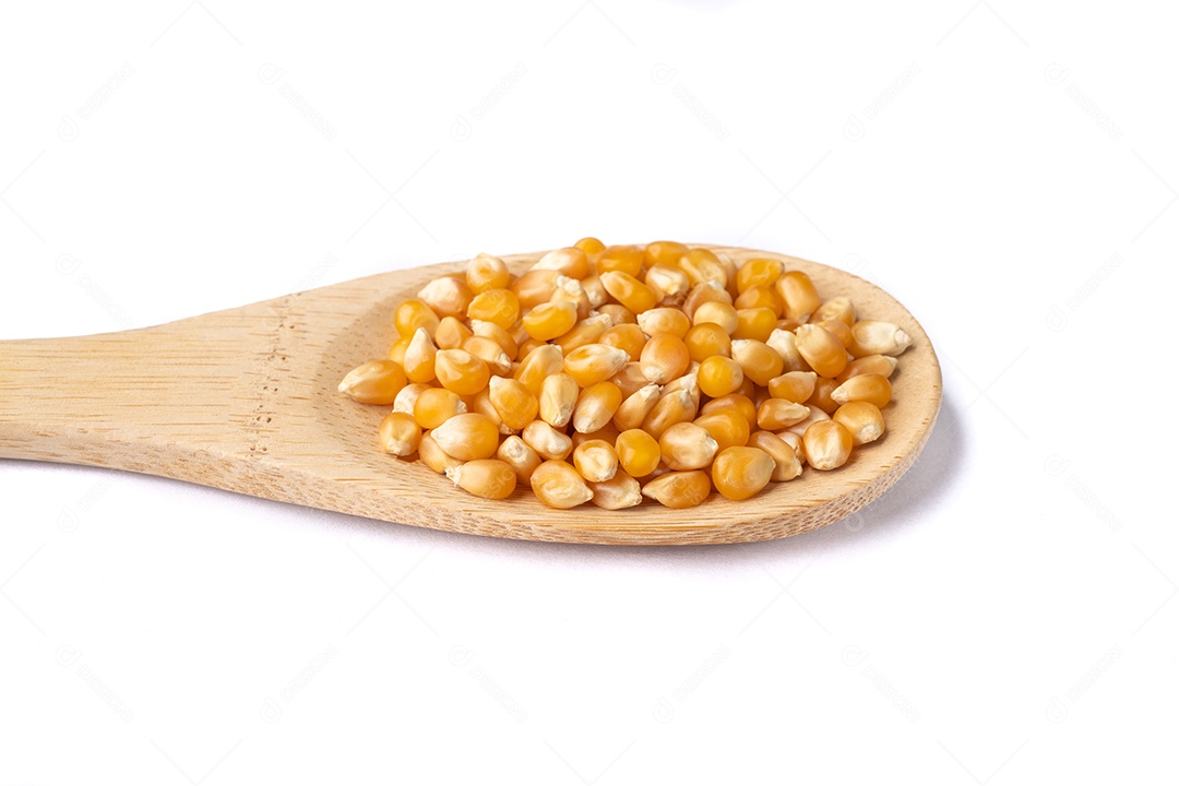 Grãos secos de milho ou pipoca em uma colher isolada sobre fundo branco.