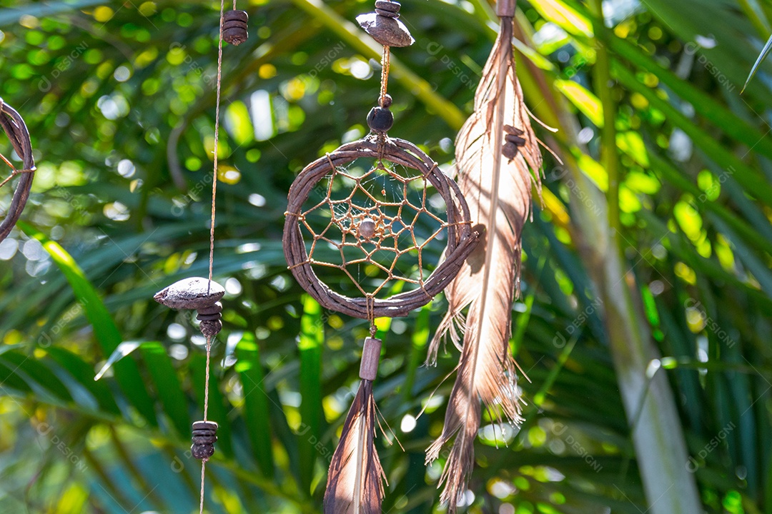 filtro dos sonhos preso em uma árvore no rio de janeiro.
