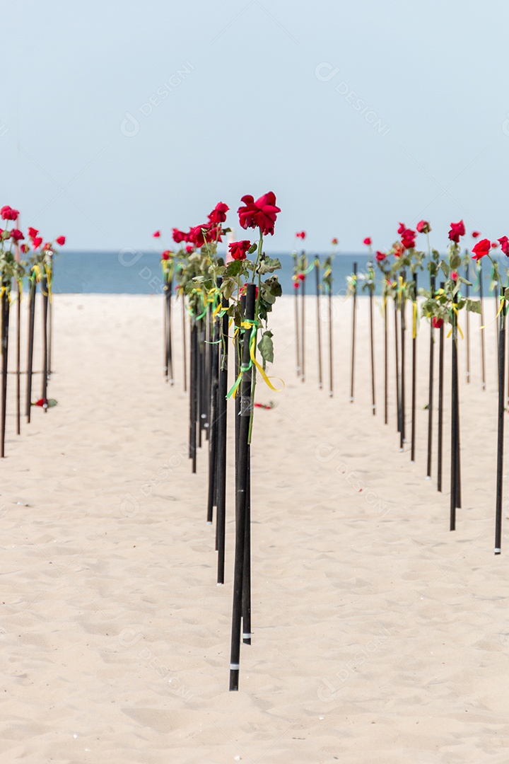 Rosa vermelha na areia da praia de Copacabana no Rio de Janeiro Brasil.