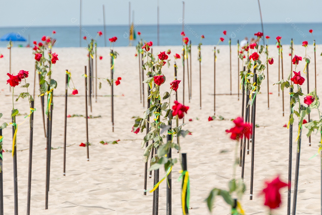 Rosa vermelha na areia da praia de Copacabana no Rio de Janeiro Brasil.