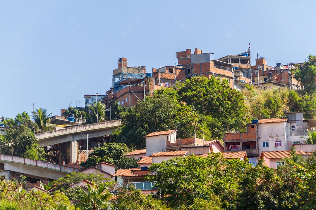 casas de mangueira no Rio de Janeiro Brasil.