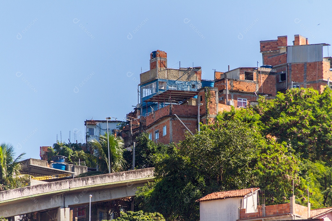 casas de mangueira no Rio de Janeiro Brasil.