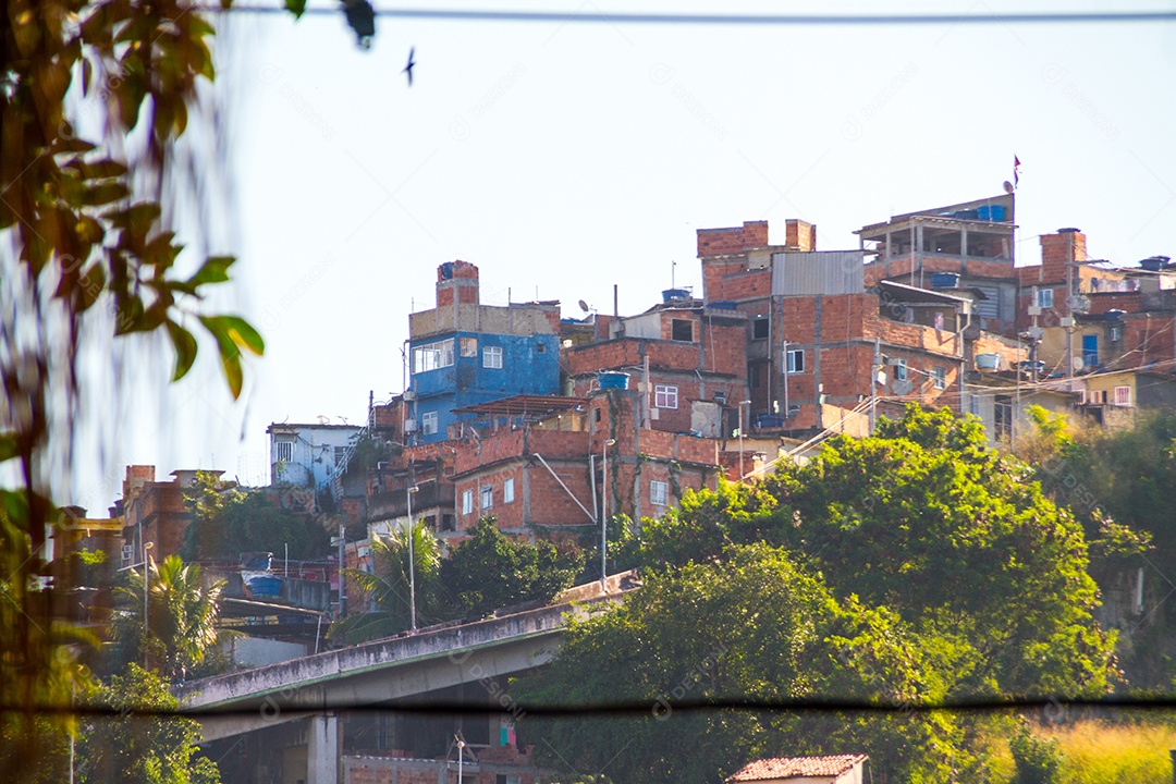 casas de mangueira no Rio de Janeiro Brasil.