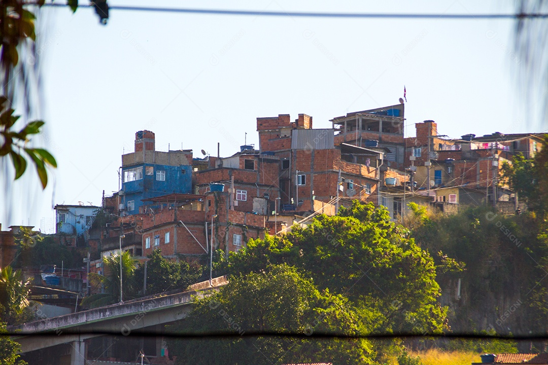 casas de mangueira no Rio de Janeiro Brasil.