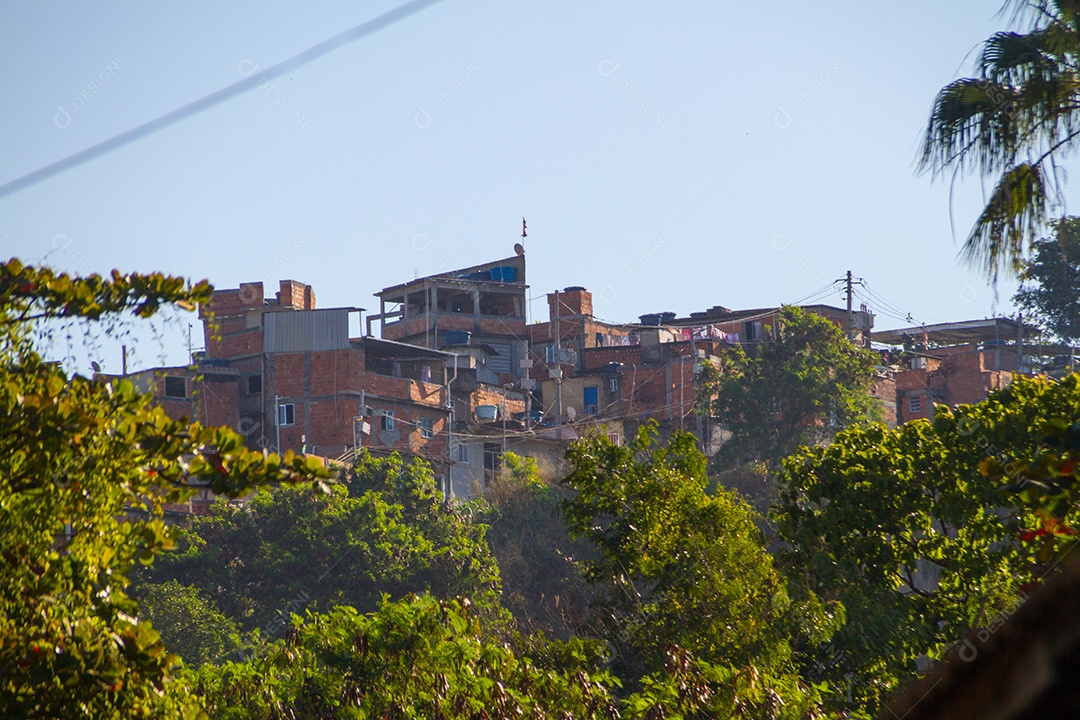 casas de mangueira no Rio de Janeiro Brasil.