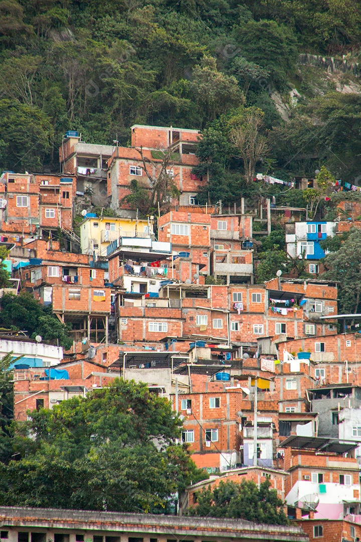 favela de santa marta no rio de janeiro.