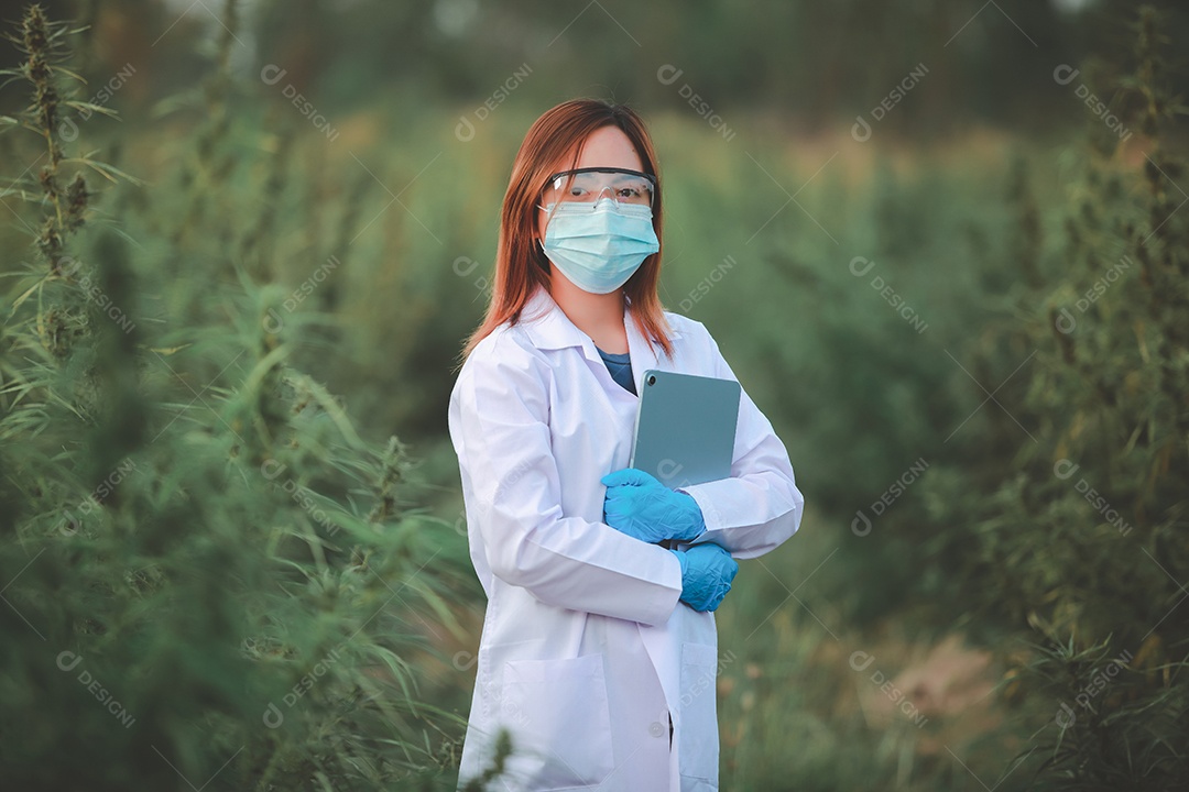 Cientista analisando cannabis