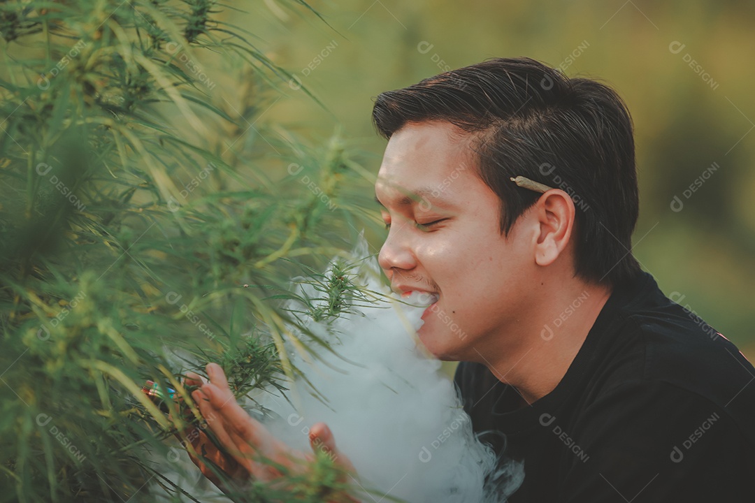 Homem jovem sobre uma plantio de cannabis fumando maconha