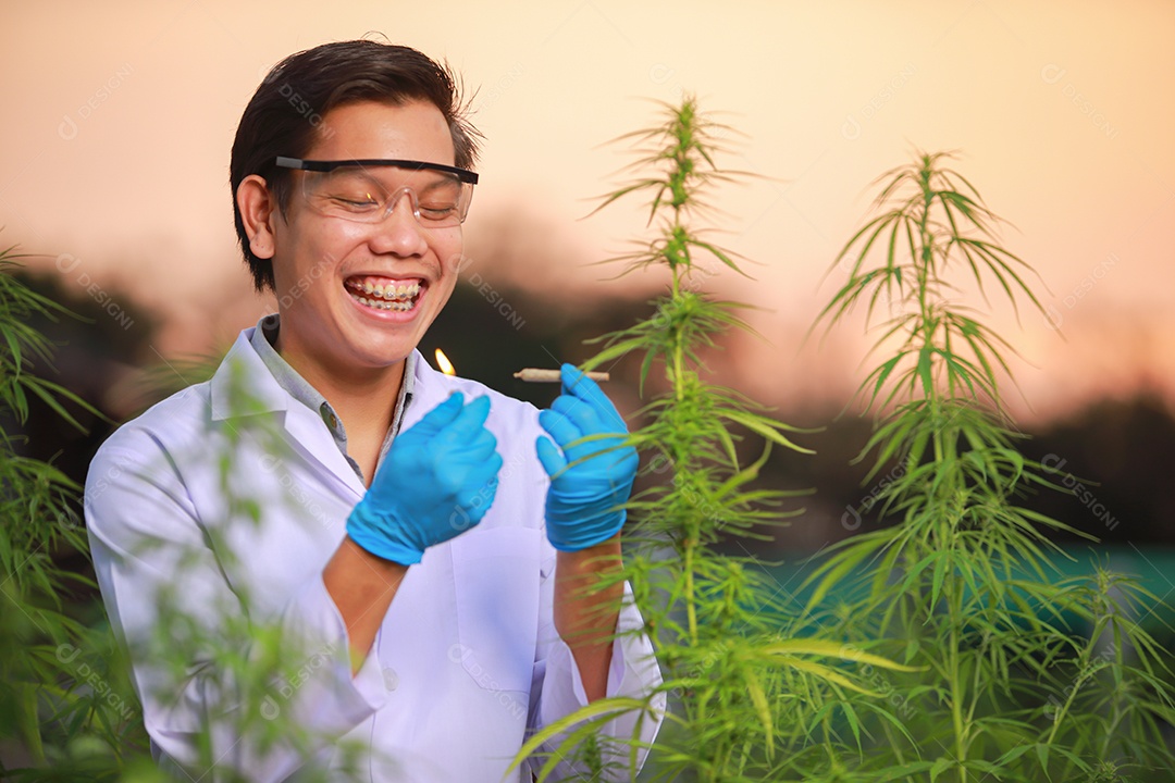 Cientista segurando baseado droga maconha
