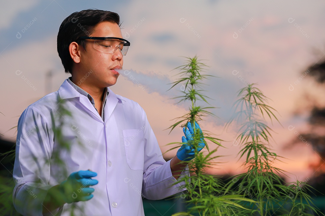 Homem jovem usando jaleco branco fumando droga baseado cannabis