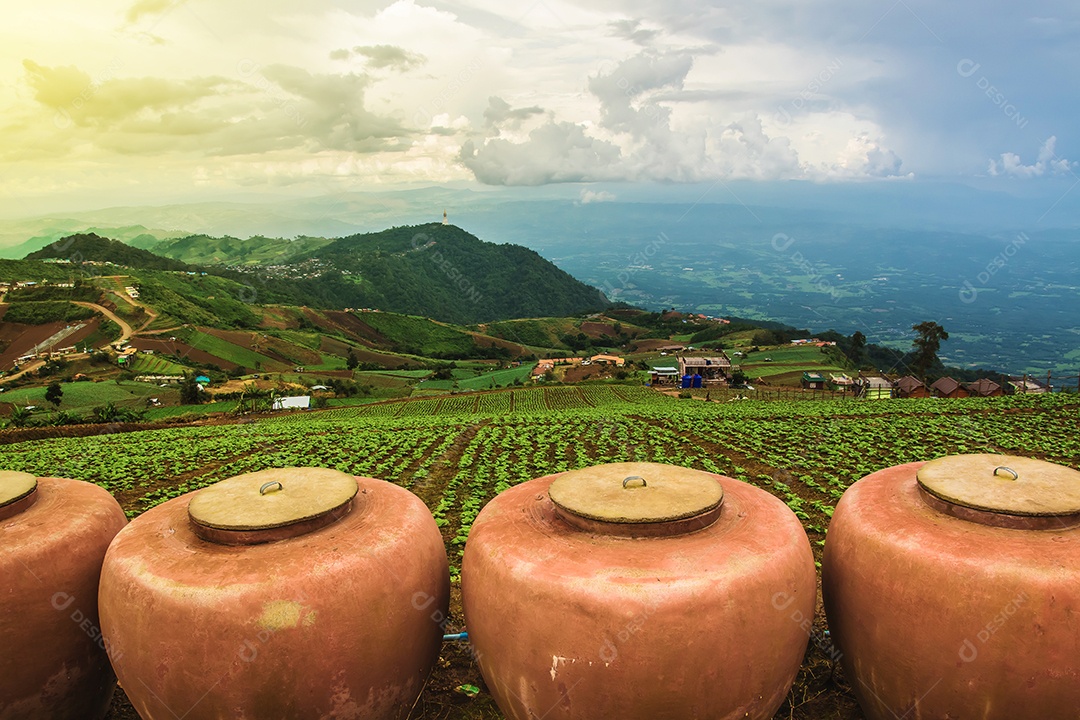 Paisagem da área agrícola na montanha, na Tailândia