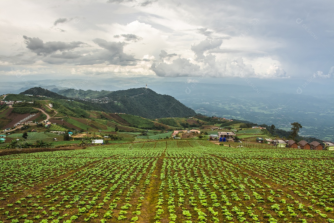 Paisagem da área agrícola na montanha, na Tailândia