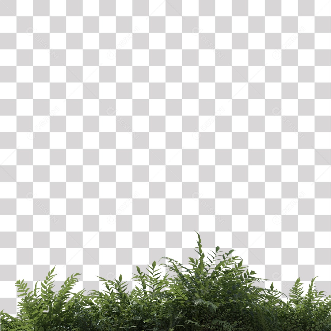 Planta com folhas verdes pedra PNG Transparente